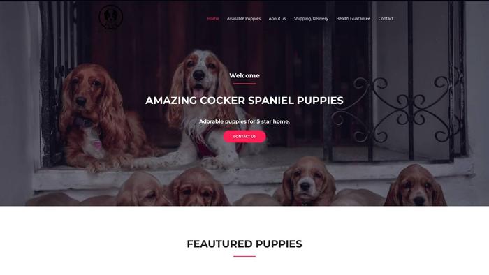 Amazingcockerspaniel.com - Cockerspaniel Puppy Scam Review