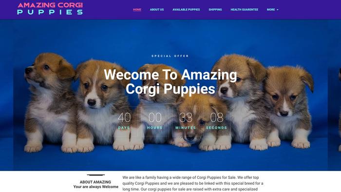 Amazingcorgipups.com - Corgi Puppy Scam Review