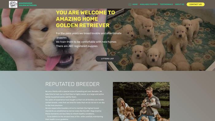 Amazinghomegoldenretriever.com - Golden Retriever Puppy Scam Review