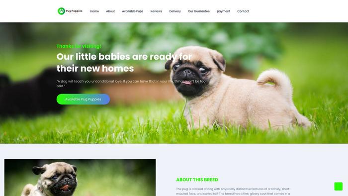 Amazingpugpuppiesforsale.com - Pug Puppy Scam Review