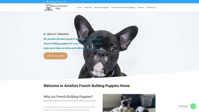 Ameliasfrenchies.com - French Bulldog Puppy Scam Review