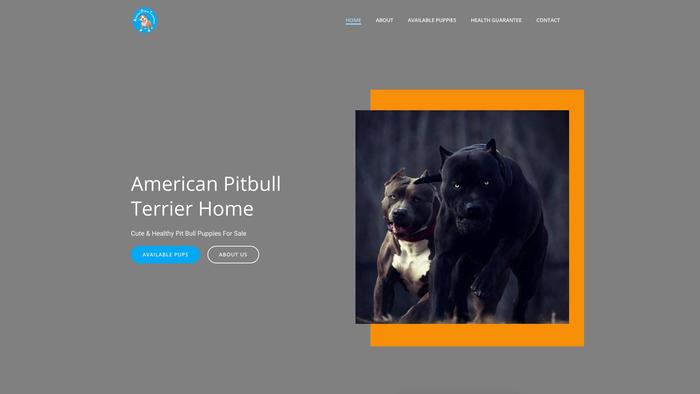 Americanpitbullterrierhome.com - Pit Bull Puppy Scam Review