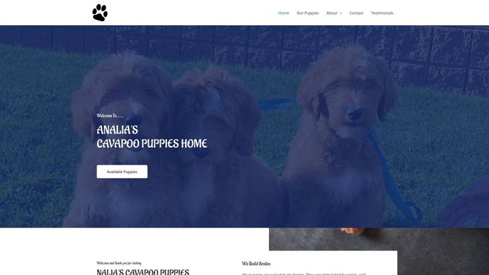 Analiascavapoopuppieshome.com - Cavapoo Puppy Scam Review