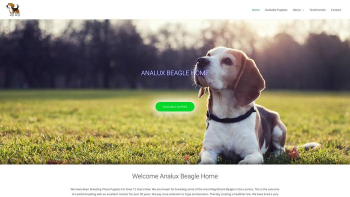 Analuxbeaglehome.com - Beagle Puppy Scam Review