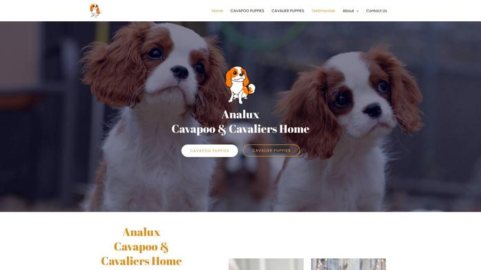 Analuxcavapooandcavalierhome.com - Cavalier King Charles Spaniel Puppy Scam Review