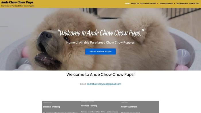 Andechowchowpups.com - Chowchow Puppy Scam Review