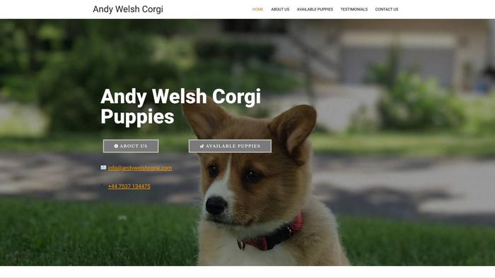 Andywelshcorgi.com - Corgi Puppy Scam Review