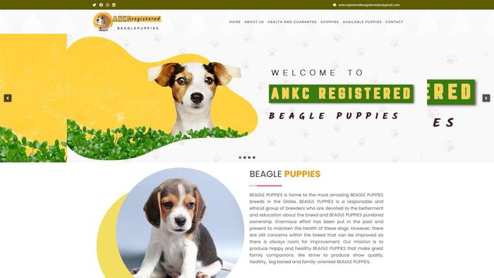 Ankcregisteredbeaglespups.com - Beagle Puppy Scam Review