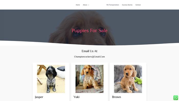 Atlanticspaniels.com - Cockerspaniel Puppy Scam Review