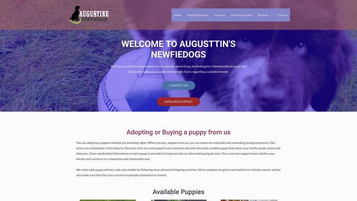 Augustinewfiedogs.com - Saint Bernard Puppy Scam Review