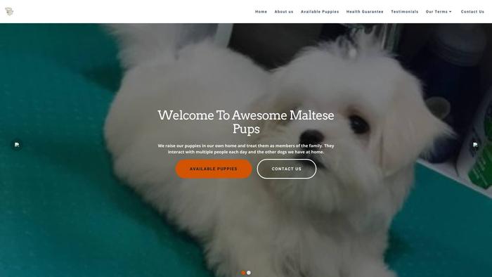 Awesomemaltesepups.com - Maltese Puppy Scam Review