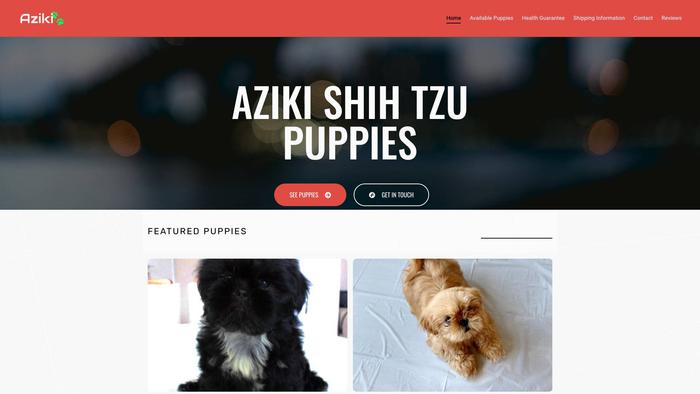 Azikishihtzupuppies.com - Shihtzu Puppy Scam Review