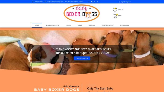 Babyboxerdogs.com - Boxer Puppy Scam Review