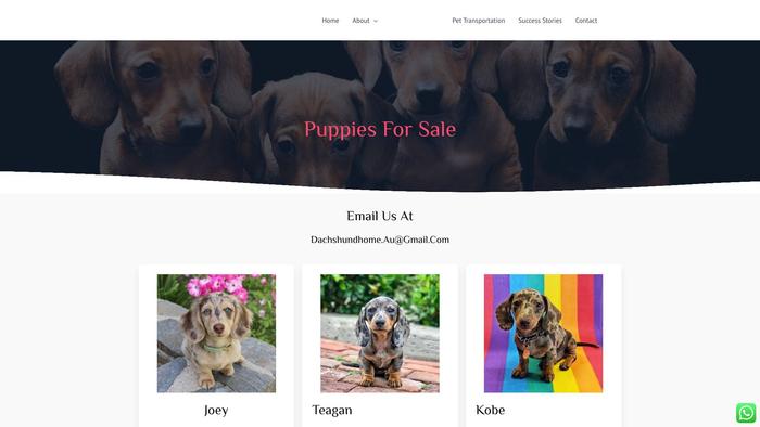 Bahloodachshunds.com - Dachshund Puppy Scam Review