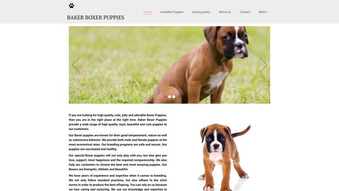 Bakersboxerpuppies.com - Boxer Puppy Scam Review