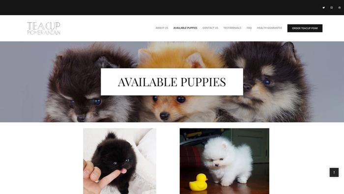 Barrowsteacuppomeranian.com - Pomeranian Puppy Scam Review