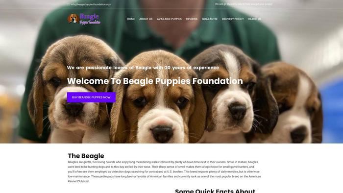 Beaglepuppiesfoundation.com - Beagle Puppy Scam Review