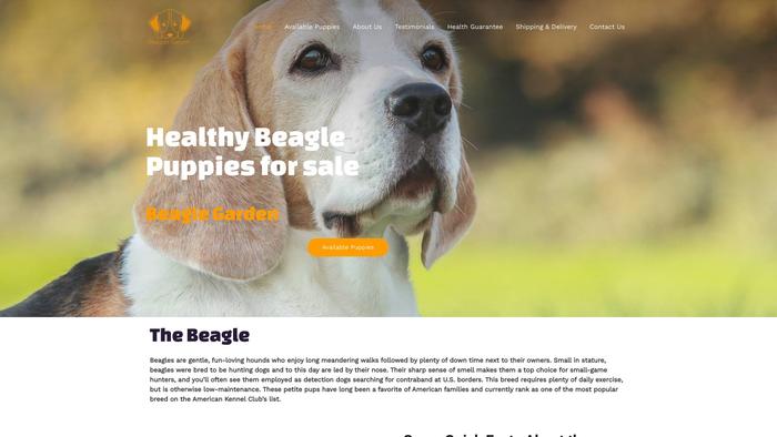 Beaglesgarden.com - Beagle Puppy Scam Review