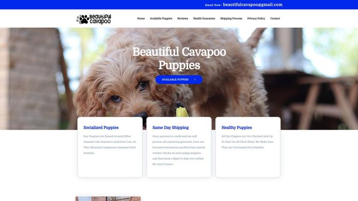 Beautifulcavapoopuppies.com - Cavapoo Puppy Scam Review