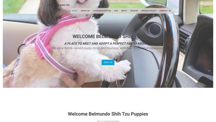 Belmundoshihtzu.com - Shihtzu Puppy Scam Review