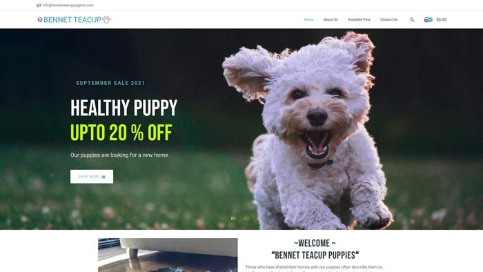 Bennetteacuppuppies.com - Yorkshire Terrier Puppy Scam Review