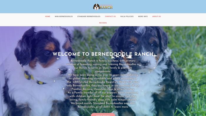 Bernedoodlesranch.com - Bernedoodle Puppy Scam Review