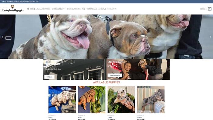 Bestenglishbulldogpuppies.online - English Bulldog Puppy Scam Review