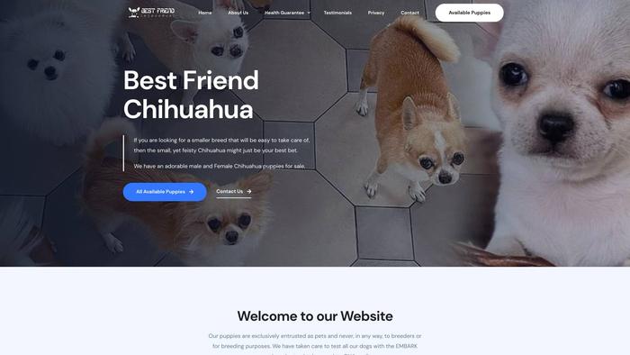 Bestfriendchihuahuas.com - Chihuahua Puppy Scam Review