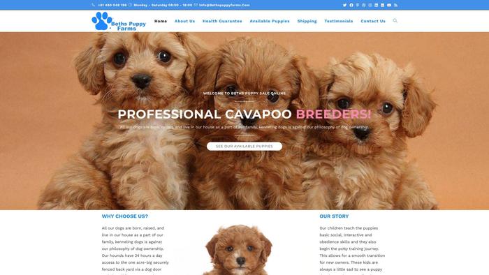 Bethspuppyfarms.com - Cavapoo Puppy Scam Review