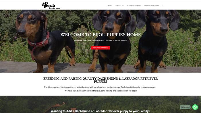 Bijoupuppieshome.com - Dachshund Puppy Scam Review