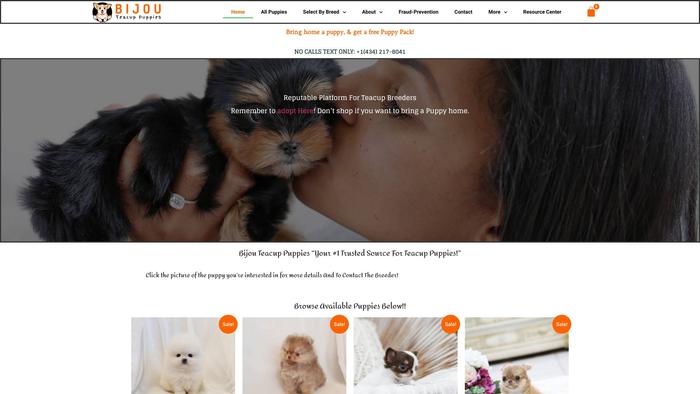 Bijouteacuppuppies.com - Yorkshire Terrier Puppy Scam Review