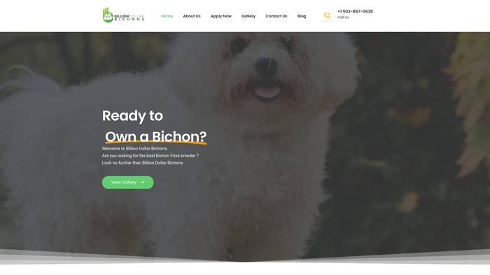 Billiondollarbichons.com - Bichon Frise Puppy Scam Review