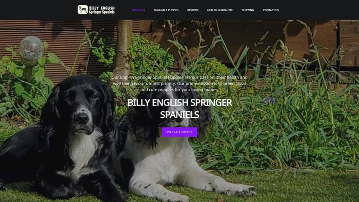 Billyenglishspringerspaniels.com - Spaniel Puppy Scam Review