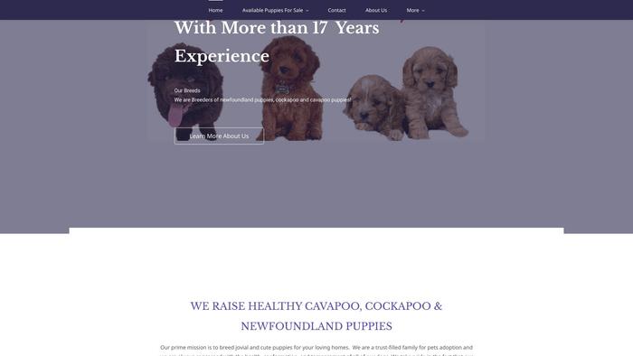 Blossomcavapoopuppyhome.com - Cavapoo Puppy Scam Review