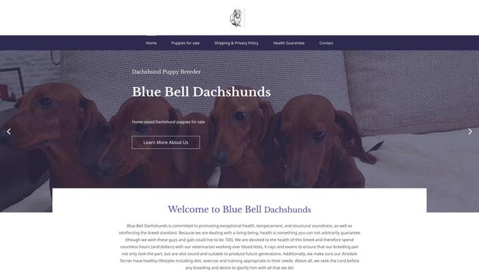 Bluebelldachshunds.com - Dachshund Puppy Scam Review