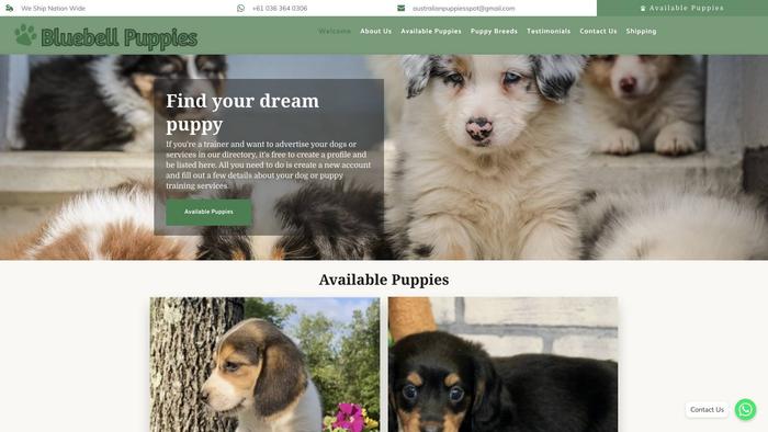 Bluebellpupshome.com - Australian Shepherd Puppy Scam Review