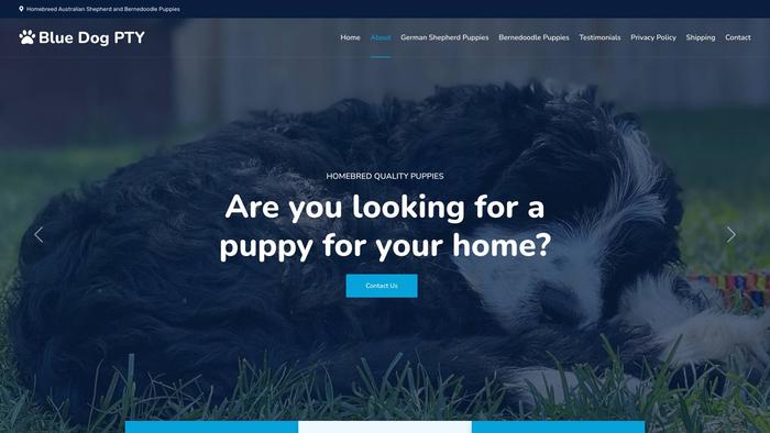 Bluedogpty.com - Bernedoodle Puppy Scam Review