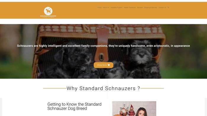 Bluepearlschnauzerpuppies.com - Schnauzer Puppy Scam Review