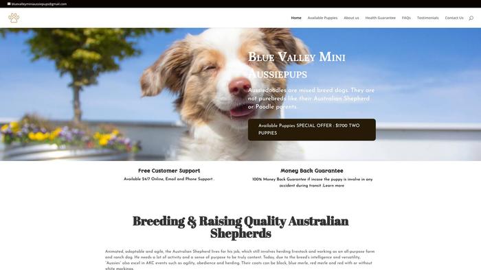 Bluevalleyminiaussipups.com - Australian Shepherd Puppy Scam Review