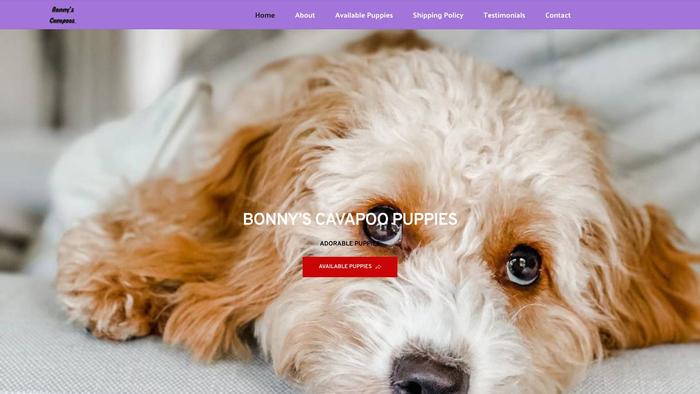 Bonnycavapoopuppies.com - Cavapoo Puppy Scam Review