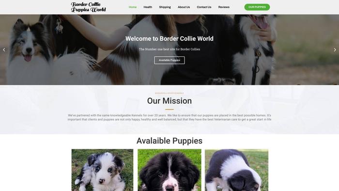 Bordercolliepuppiesworld.com - Bordercollie Puppy Scam Review