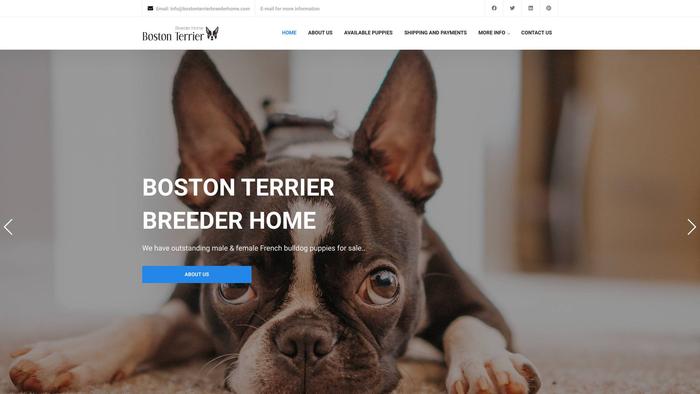 Bostonterrierbreederhome.com - Boston Terrier Puppy Scam Review