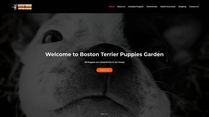 Bostonterrierpuppiesgarden.com - Boston Terrier Puppy Scam Review