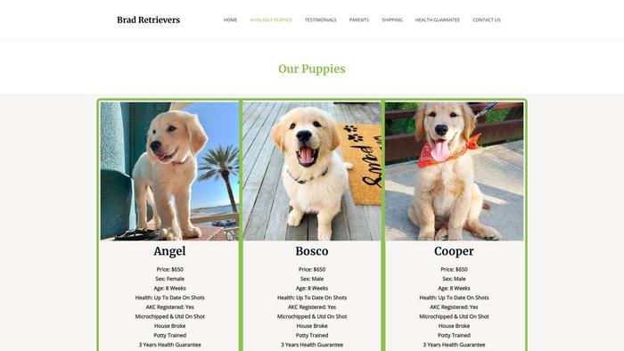 Bradretrievers.com - Golden Retriever Puppy Scam Review