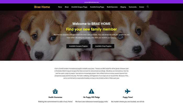 Braehome.com - Cavapoo Puppy Scam Review