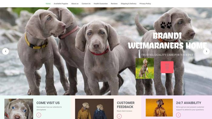 Brandiweimaranerhome.com - Weimaraner Puppy Scam Review