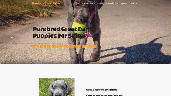 Brandongreatdane.com - Great Dane Puppy Scam Review