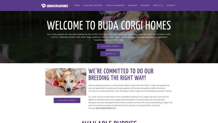 Budacorgihomes.com - Corgi Puppy Scam Review