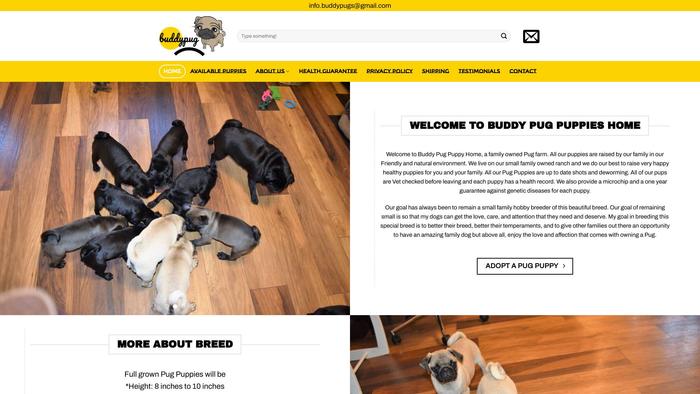 Buddypugs.com - Pug Puppy Scam Review