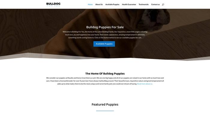 Bulldogforyou.com - Bulldog Puppy Scam Review